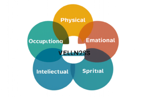 interdependence of the components of wellness