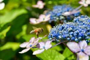 discuss the interdependence of the components of wellness