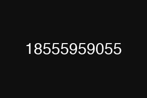18555959055