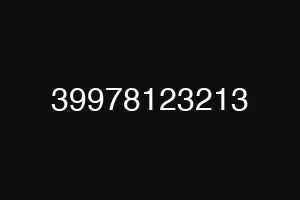 39978123213
