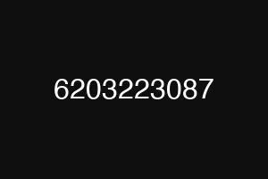 6203223087