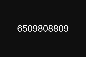 6509808809