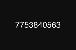 7753840563
