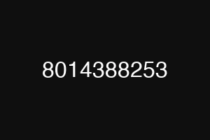 8014388253
