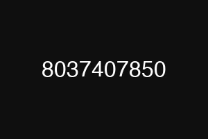 8037407850