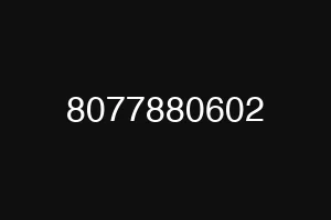 8077880602