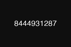 8444931287