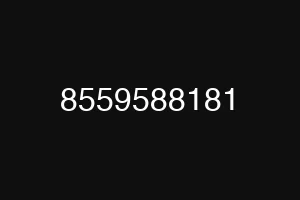 8559588181
