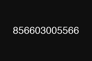 856603005566