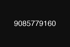 9085779160
