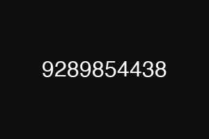 9289854438