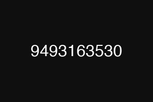 9493163530