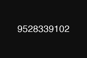 9528339102