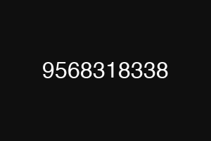 9568318338