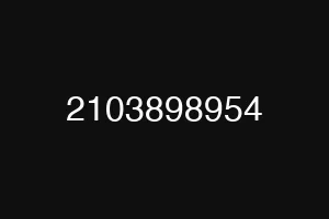 2103898954