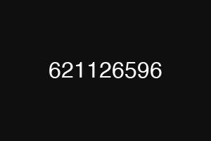 621126596