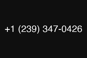 +1 (239) 347-0426
