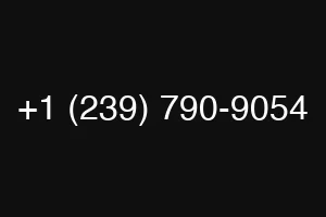 +1 (239) 790-9054