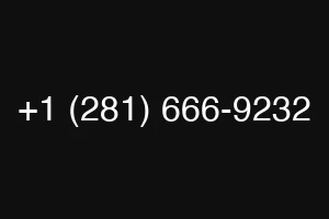 +1 (281) 666-9232