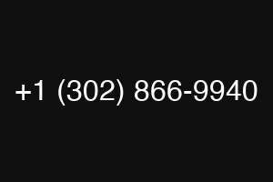 +1 (302) 866-9940