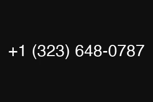 +1 (323) 648-0787