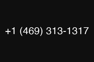 +1 (469) 313-1317
