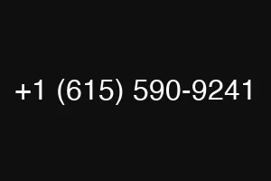 +1 (615) 590-9241