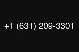 +1 (631) 209-3301