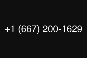 +1 (667) 200-1629