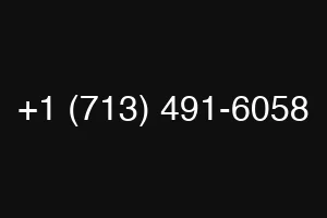 +1 (713) 491-6058