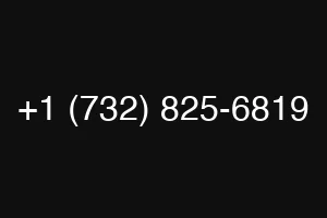 +1 (732) 825-6819