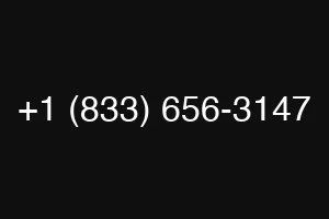 +1 (833) 656-3147