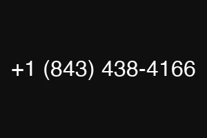 +1 (843) 438-4166