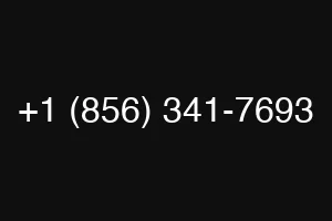 +1 (856) 341-7693